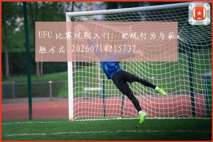 UFC 比赛规则入门：犯规行为与获胜方式_20260714215737