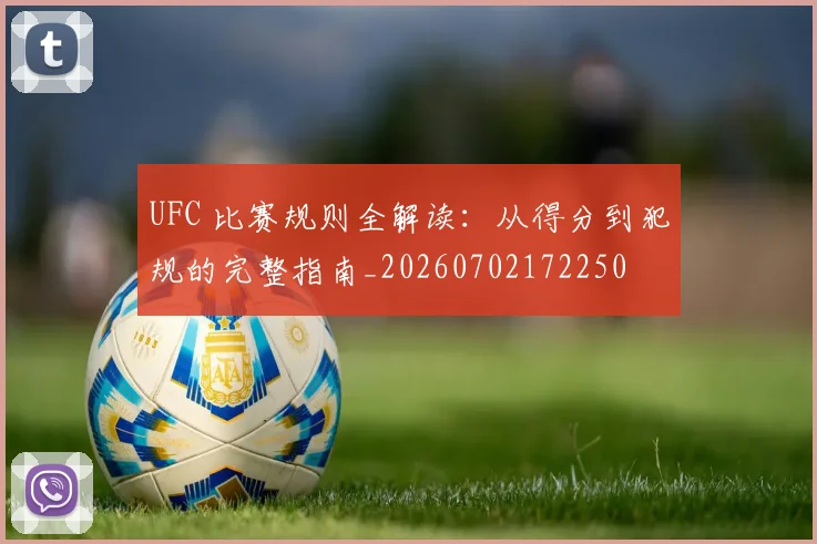 UFC 比赛规则全解读：从得分到犯规的完整指南_20260702172250