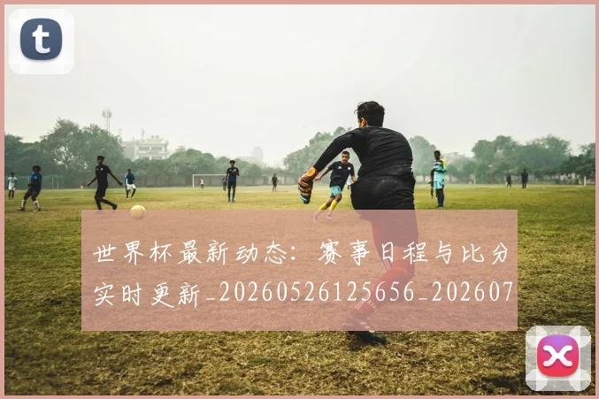 世界杯最新动态：赛事日程与比分实时更新_20260526125656_20260702174324